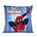 PILLOWCASESPIDERMAN0054040.jpg
