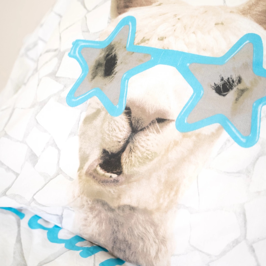 no_drama_llama_3_1920px