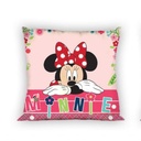 PILLOWCASEMINNIE0184040.jpg